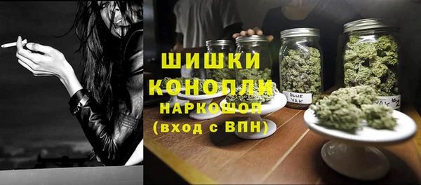 дживик Абинск