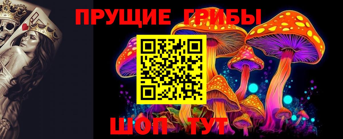 Комсомольск-на-Амуре  Псилоцибиновые грибы прущие грибы  Псилоцибиновые грибы Cubensis  Вход с VPN 