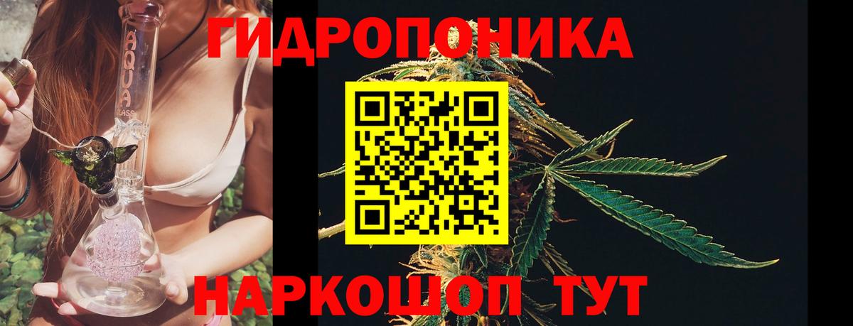 Бошки Шишки THC 21% Комсомольск-на-Амуре